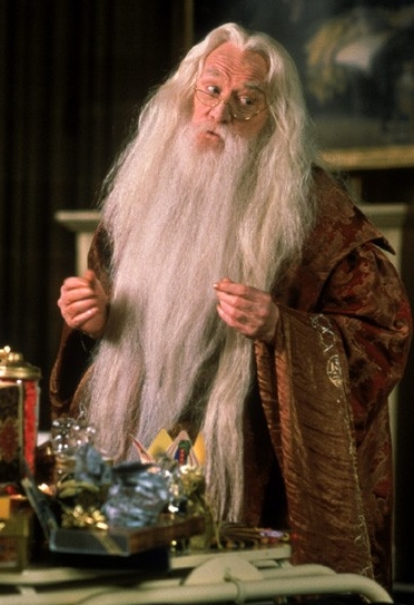 Harry Potter - Dumbledore 3