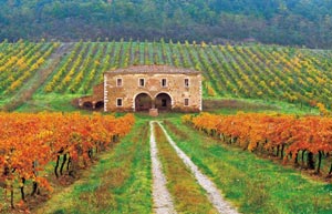 2007-07-30-farminginitaly.jpg