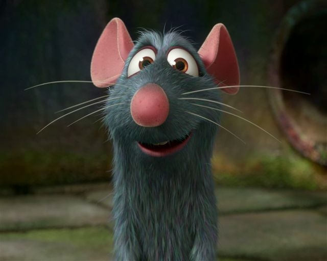 Image result for a cartoon rat
