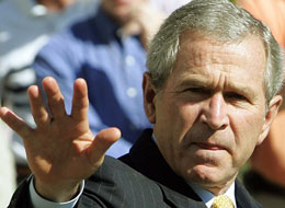 Bush Still has the Trump Card