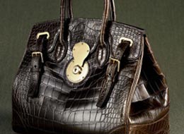 2007-08-09-alligatorbag.jpg