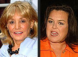 2007-09-11-Rosie_hates_barbara.jpg