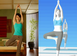 2007-10-10-wii_fit.jpg