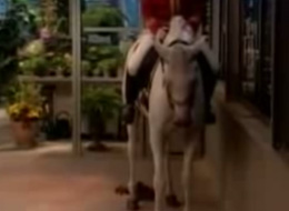 2007-10-18-horse.jpg