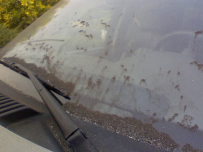 2007-10-24-sandiegoWindsheild.jpg