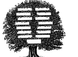 2007-10-25-tree.jpg
