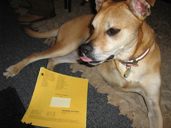 2008-01-13-img_0053.jpg
