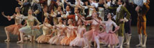 2008-02-01-zohnballerinas.jpg