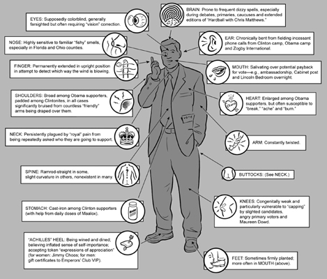 2008-03-29-SuperdeleagteSmall.PNG