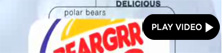 2008-05-20-beargrrking.jpg