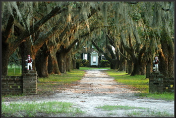 Sc Lowcountry