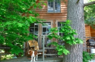 2008-07-19-dorsetcabin.jpg
