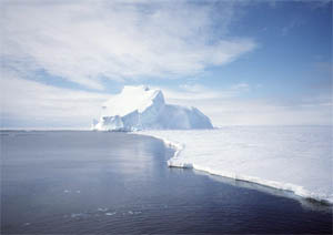 As the Antarctic Ice Sheet melts, a change in salinity of the ocean waters helps decrease the amount of warming -- but also adds significantly to rises in sea level. 

<p>Complex systems such as the climate have many interacting parts, including the ocean, atmosphere, ice sheets, and forests. The interplay of these components results in what we call feedbacks. Positive feedbacks act to enhance or accelerate any change in the system. Negative feedbacks do the opposite.</p><br />
(NASA/Bill Holt Sr.)