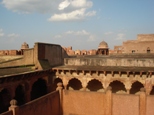 2008-09-22-agrafortxxx.jpg