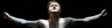2008-09-26-Equus1475rC.ROSEGGpull.jpg