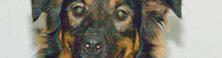 2008-10-14-Fasby.jpg