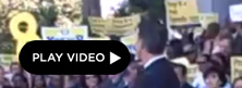 2008-10-30-prop8pull.jpg