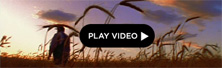 2008-10-30-thisland.jpg