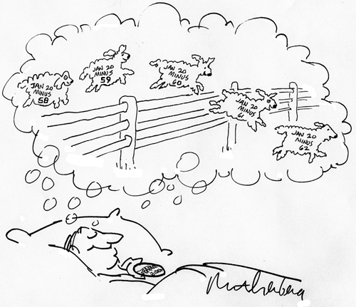2008-11-13-16209sheep.jpg