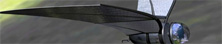 2008-11-21-combay_bat.jpg