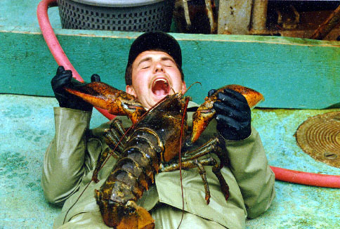2009-01-15-lobster.jpg