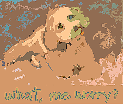 2009-01-22-labradoodlerev2a.png