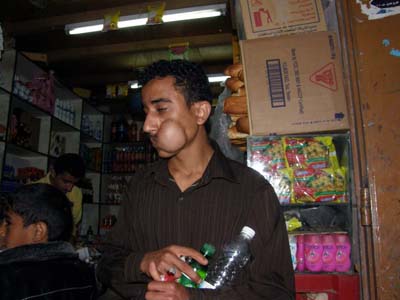 yemen qat chewing