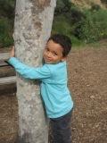 2009-02-24-Treehugger1.JPG