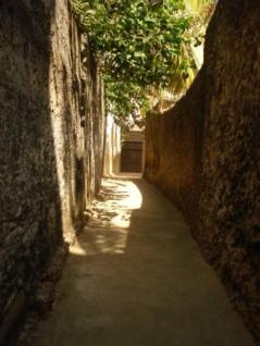 2009-07-14-lamuroad.jpg