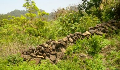 2009-07-24-ROCKS.jpg