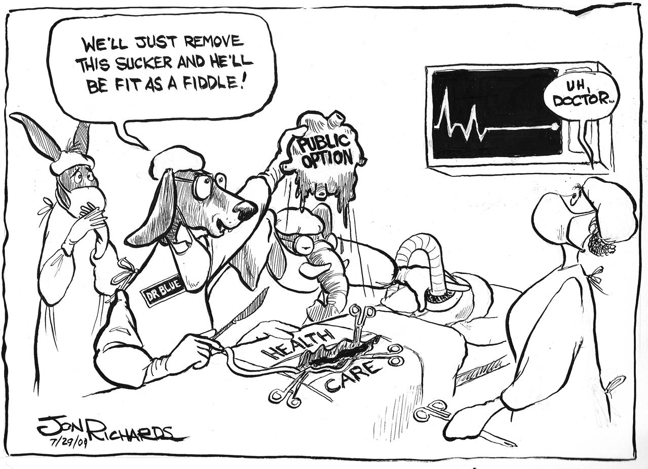 2009-07-29-VitalOrgan.jpg