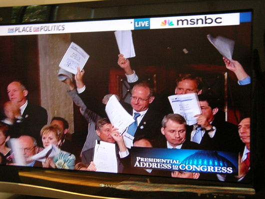 2009-09-10-RtWingCongressman.jpg