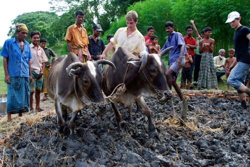 2009-09-25-images-brianandwaterbuffalo.jpg