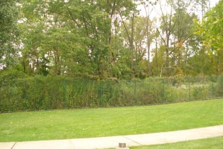 2009-10-14-theoutdoorsardencourt.jpg