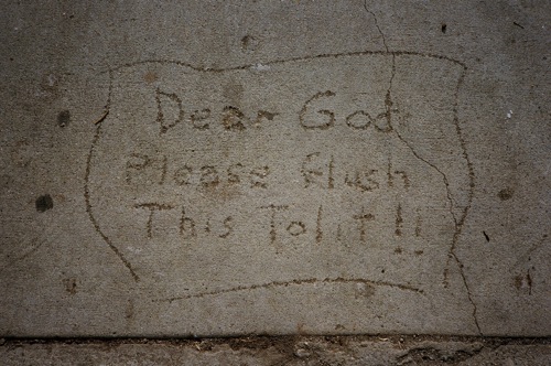 2009-12-04-flush1.jpg