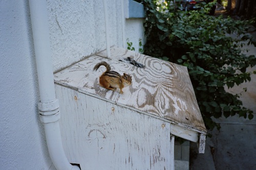 2009-12-04-flush20.jpg