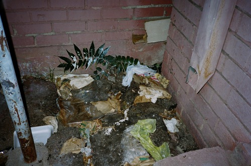2009-12-04-flush6.jpg