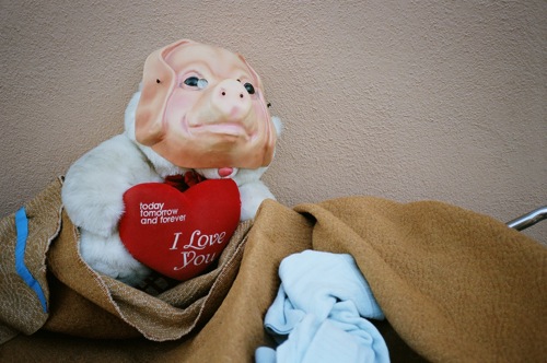 2009-12-09-flush3.jpg