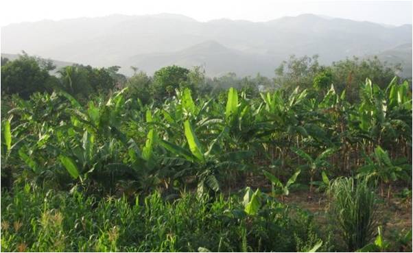 2010-01-18-Haitian_School_Rise_From_Rubble_4.0_B.jpg