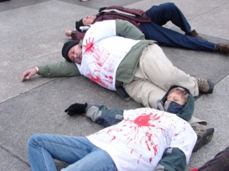 2010-01-31-whitehousedieinsmall.jpg