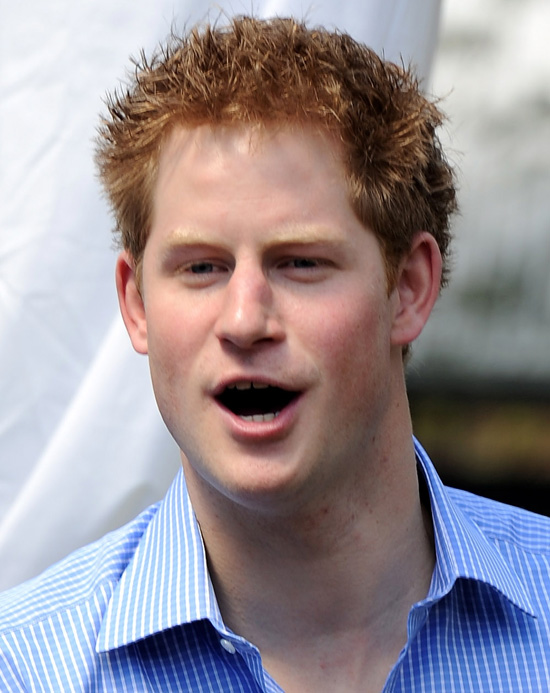 prince harry and william painting. Prince Harry#39;s hair: