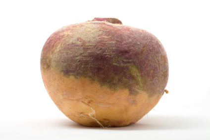 2010-02-22-images-rutabaga.jpg