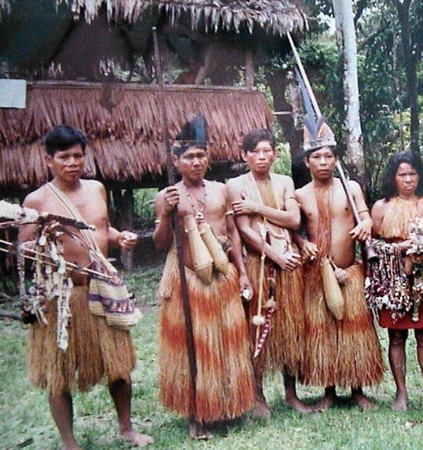 Rainforest Tribe Houses