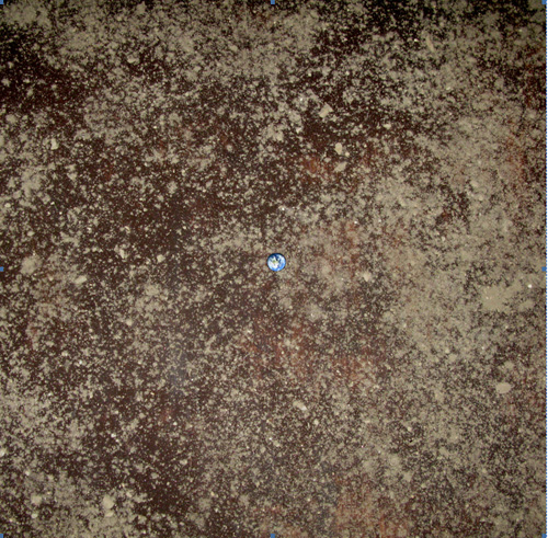 2010-03-31-Pic2.jpg
