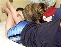 2010-04-07-kittymassage.jpg