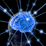 2010-04-29-brain2.jpg