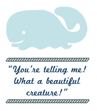 2010-05-13-1.png