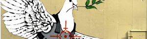 2010-06-04-dove.jpg