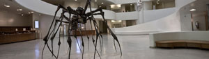 2010-06-16-outsidespider.jpg