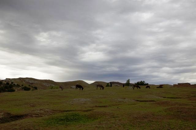 2010-07-02-0743047.jpg